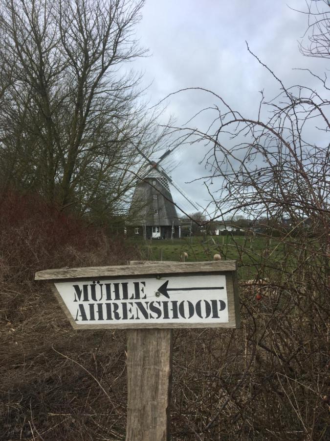 Zum Froschkoenig Lägenhet Ahrenshoop Exteriör bild