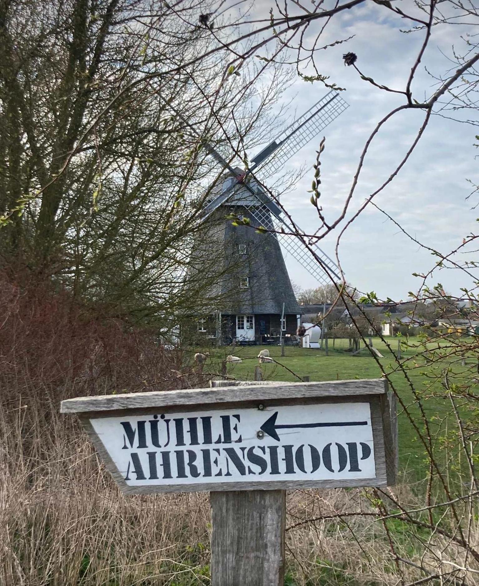 Zum Froschkoenig Lägenhet Ahrenshoop Exteriör bild